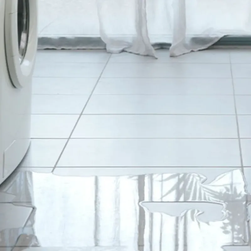 Appliance Leak Cleanup in Suncoast Estates, FL