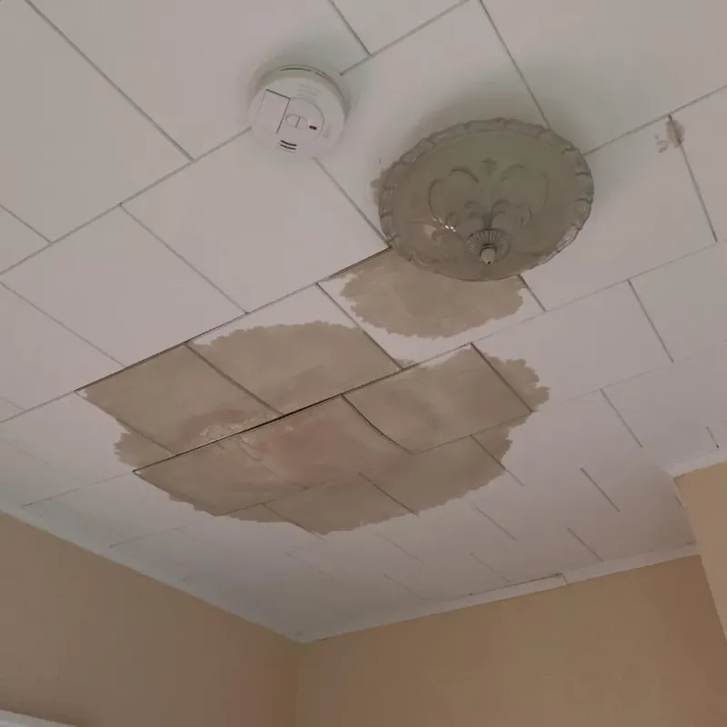 Ceiling Water Damage Repair in Suncoast Estates, FL